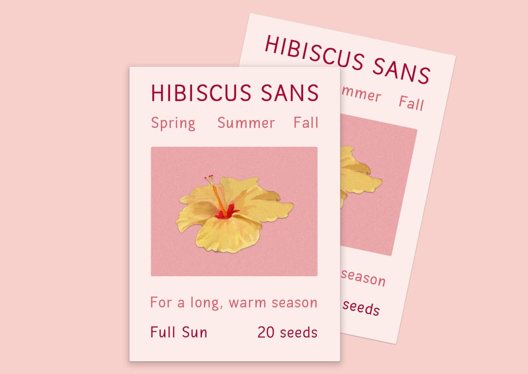 Hibiscus painting