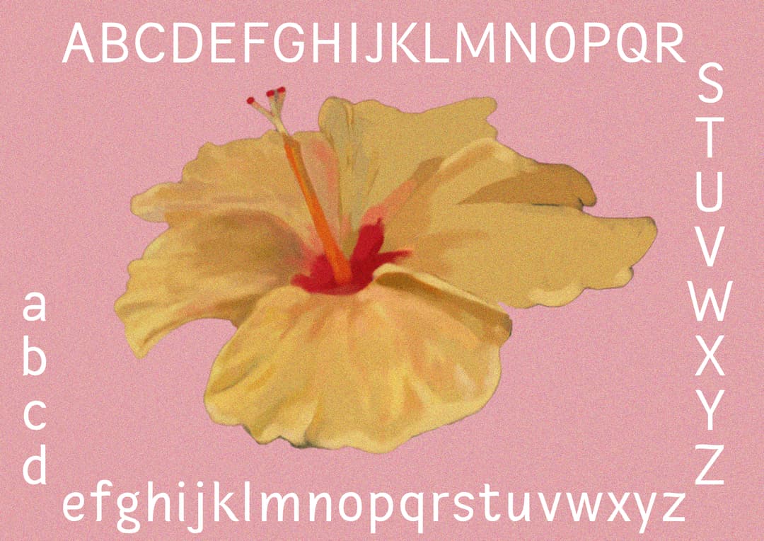 Hibiscus painting